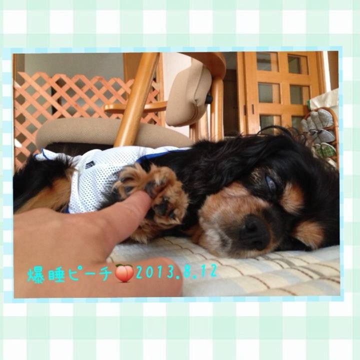 0b588cbd 16bb 45be bb1a 6430b61185b1