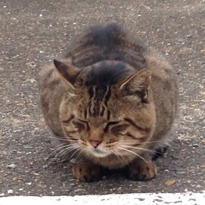 0b595ee9 4904 4507 8415 b4299d5825ee