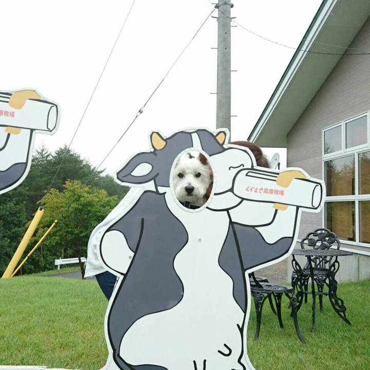 0b596983 e359 452c aef9 52117f02c654