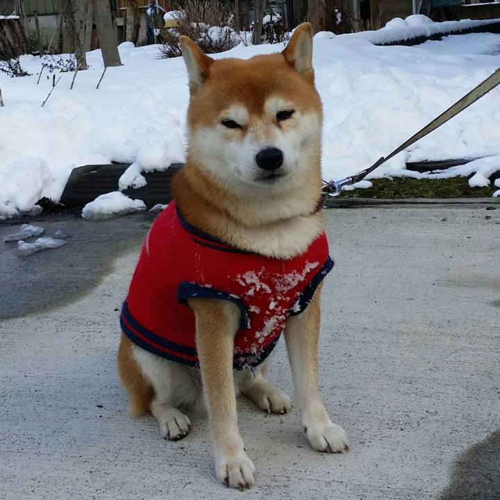 0b5a6c9d c933 4bc4 bcfe 5f6036076934