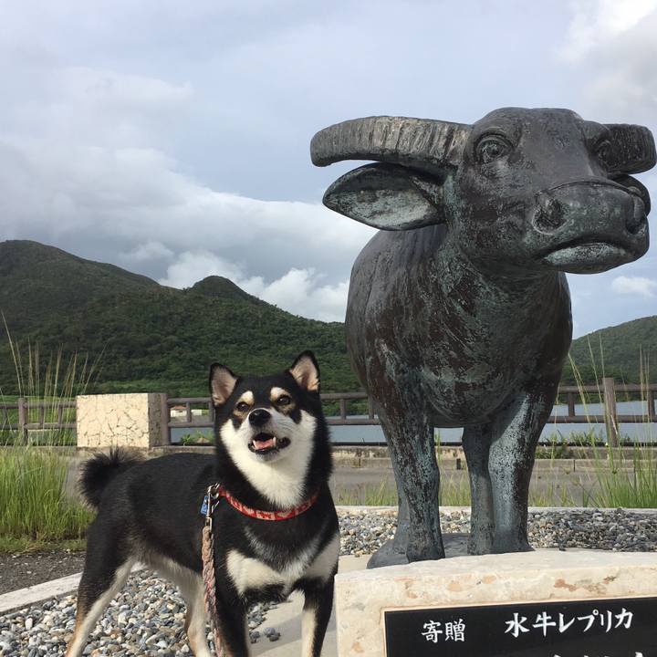 0b5ac825 addb 4219 ad6d 7de8df1728f0