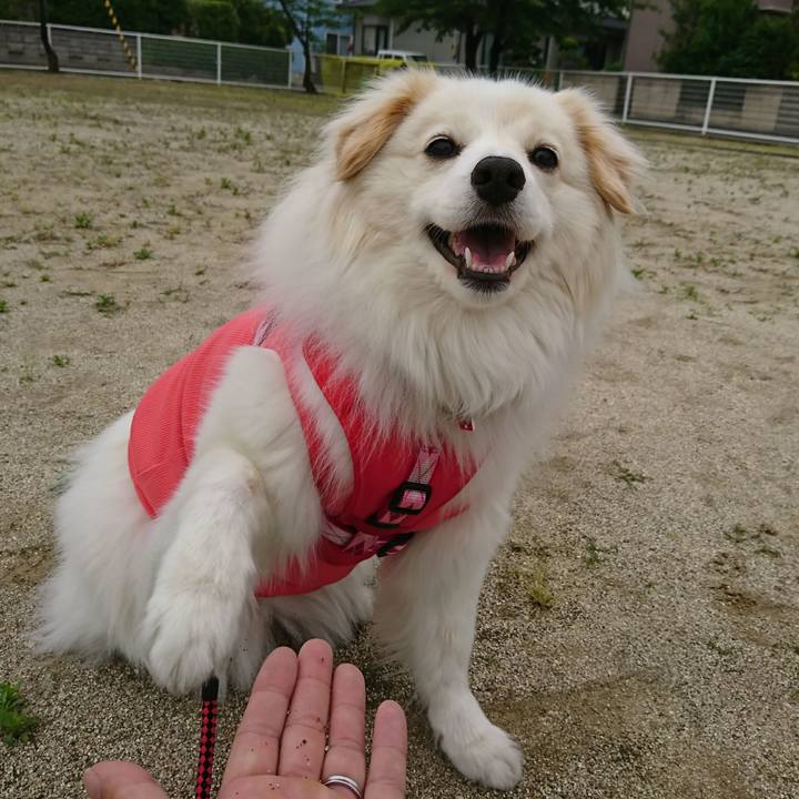 0b5aced2 303c 4894 89ca 1de5081e6bf3