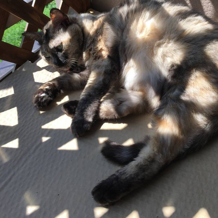 0b5b0917 514a 46a6 b1d6 82653a6e292f