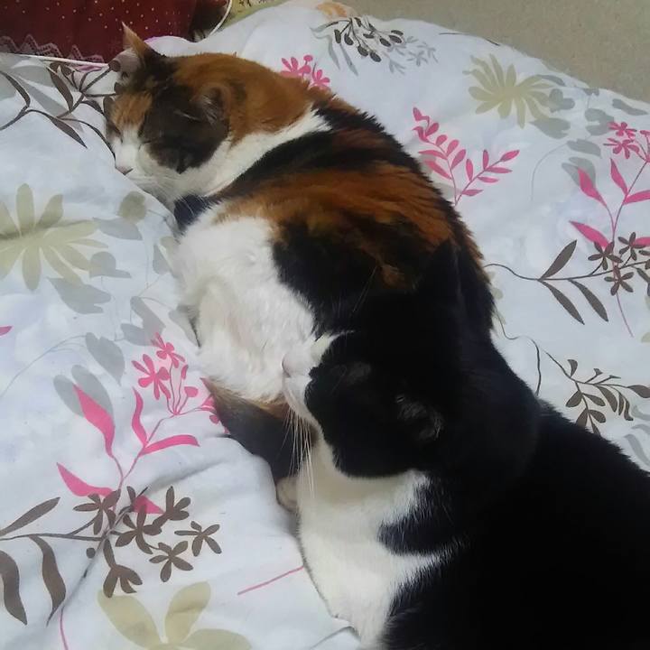 0b5ba65c 9ca6 4bf9 8ebc e1ed1f5f0385