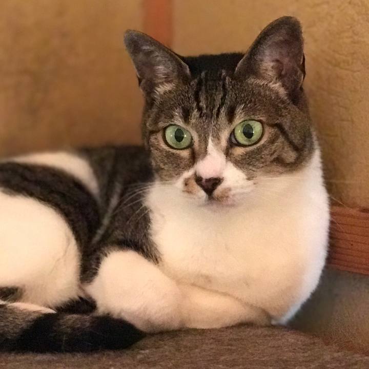 0b5c0ef1 3b42 4463 b5ed 82ca50196cad