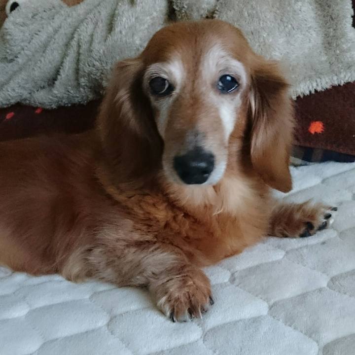 0b5c9df7 9949 4cee ac7c 06c990905c94