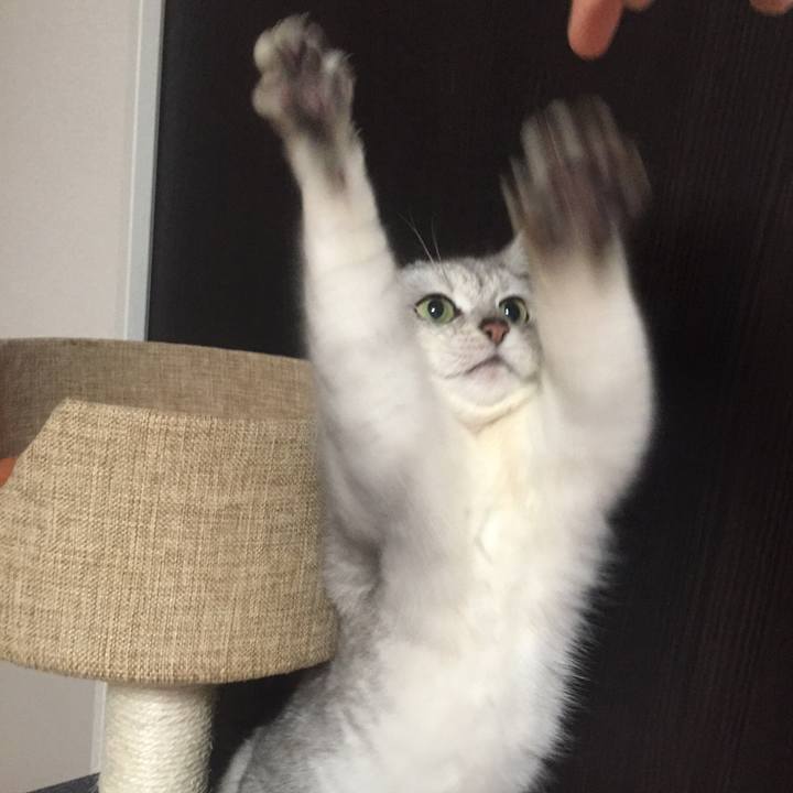 0b5d4575 87e1 42bd b153 b4349fa61fa3