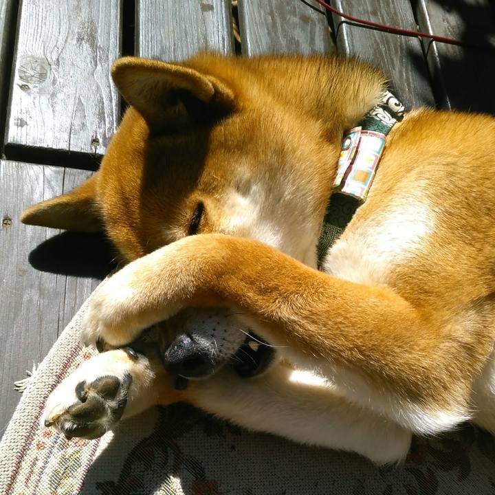 0b5db473 9d95 4c68 ae6d ee2108b3db3f