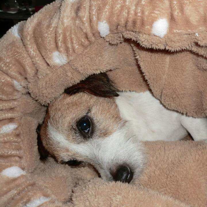 0b5e3e0f 3a58 429d adf8 7aca7e4c8f77