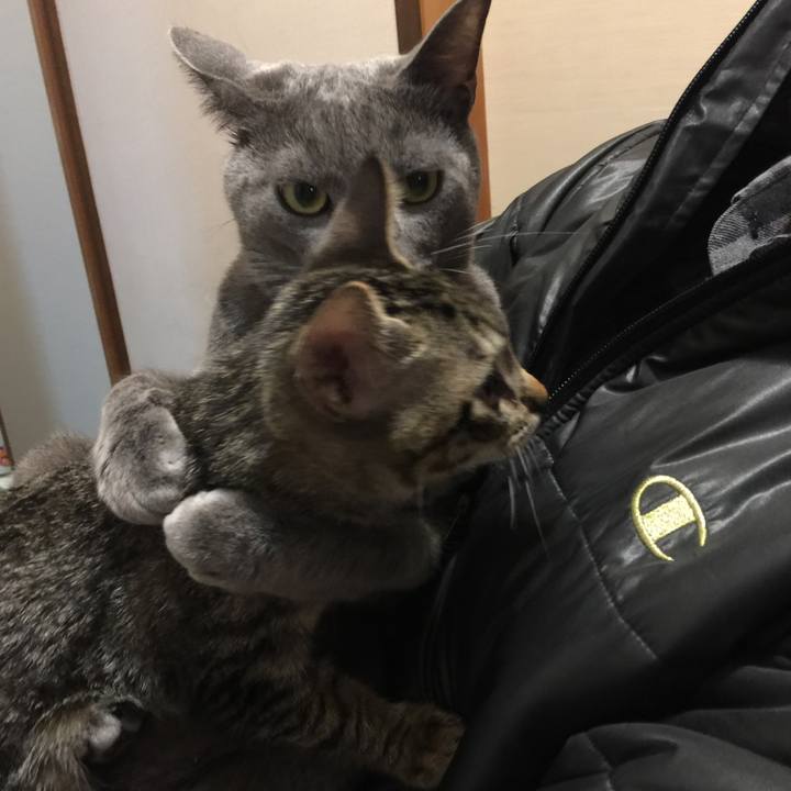 0b5e64aa 4d88 423f 871b 2b7b5d501e35