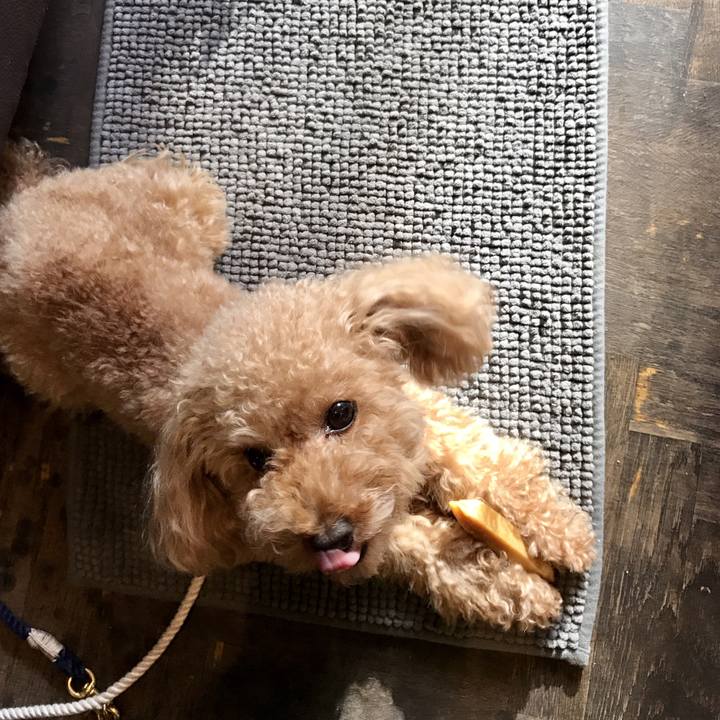 0b5ed20a 2fb3 4453 90ff dc0c499decf6