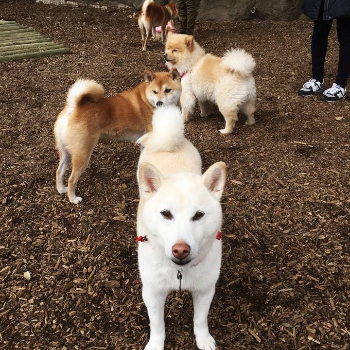 0b5f459b 284a 4e2d 90b4 0d60540eb1d3