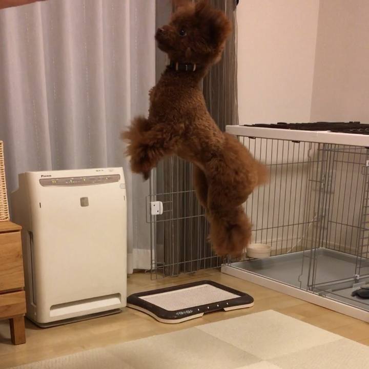 0b5f646e bc77 41f6 ba01 73a42045e564