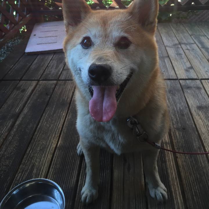 0b5f68ec 5e63 4b82 a677 5479aa072473