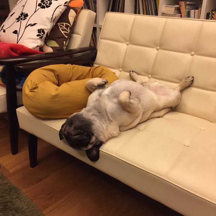 0b5f7ba2 2341 4892 b257 ca502f497e76