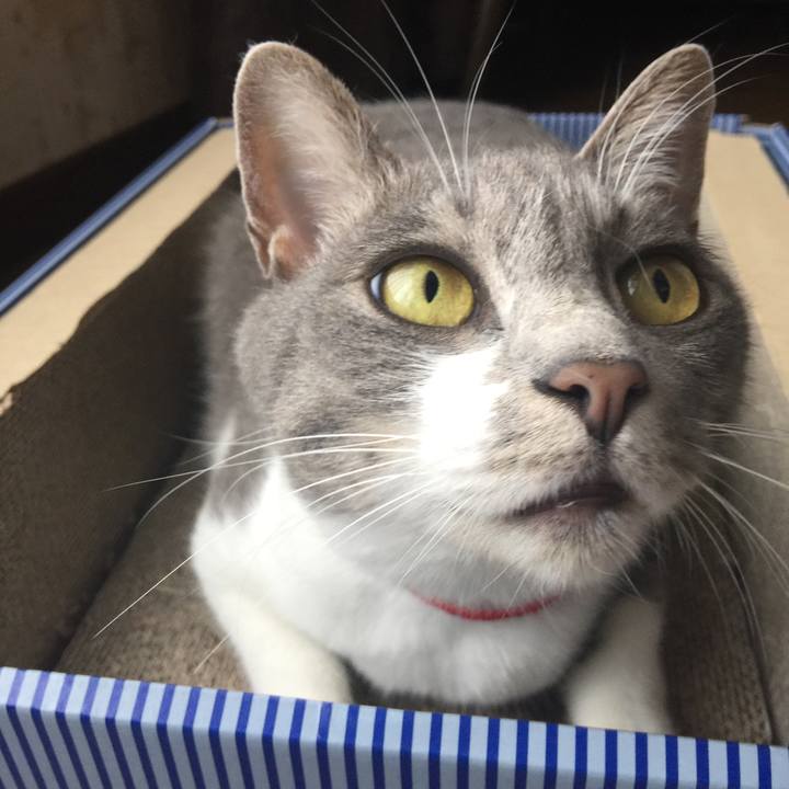 0b5f999c c426 4f48 8b5e 971a559044cb