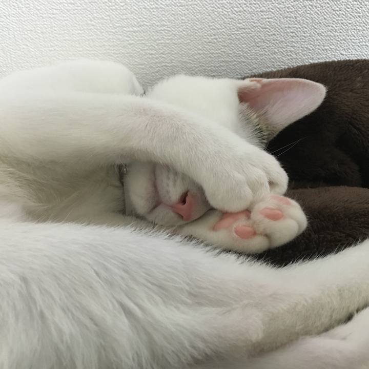 0b5fb5fe 91a5 465c a7ce e70777ca4f60