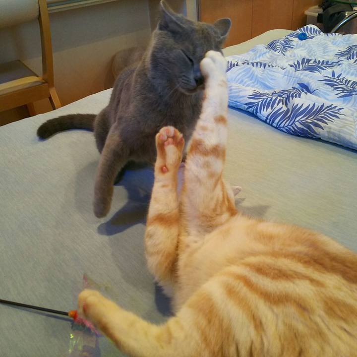 0b600f7d cca2 49a1 b9e2 53b03b9465d5