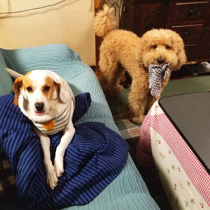 0b60511a 3092 4ff1 83cb 5b8cd1e5472e