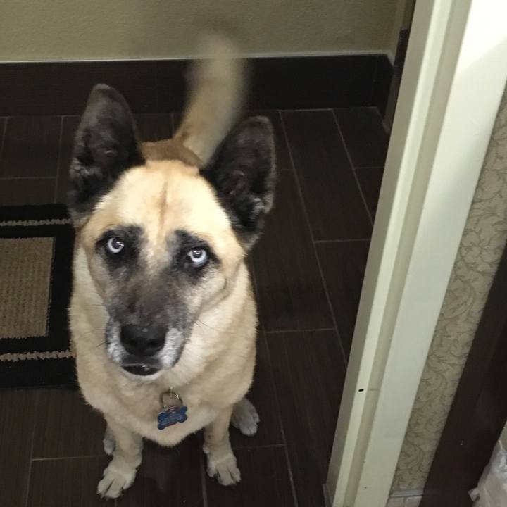 0b6052db c5b7 4fc6 aa78 b9688dc7a16e