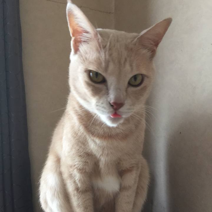 0b60963f d065 4636 b016 5b625b7681a1