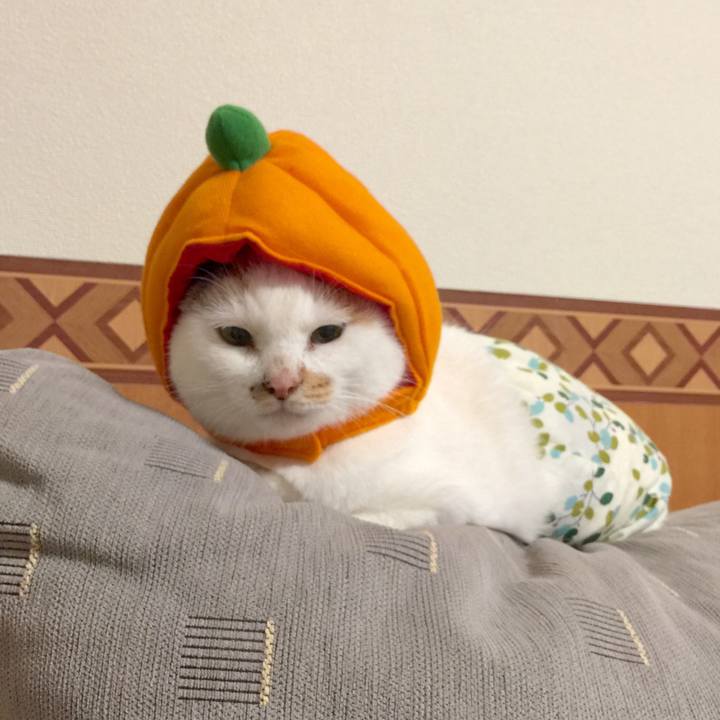 0b60ad94 aa6a 4ba0 be4c 9835bcb1c4d1