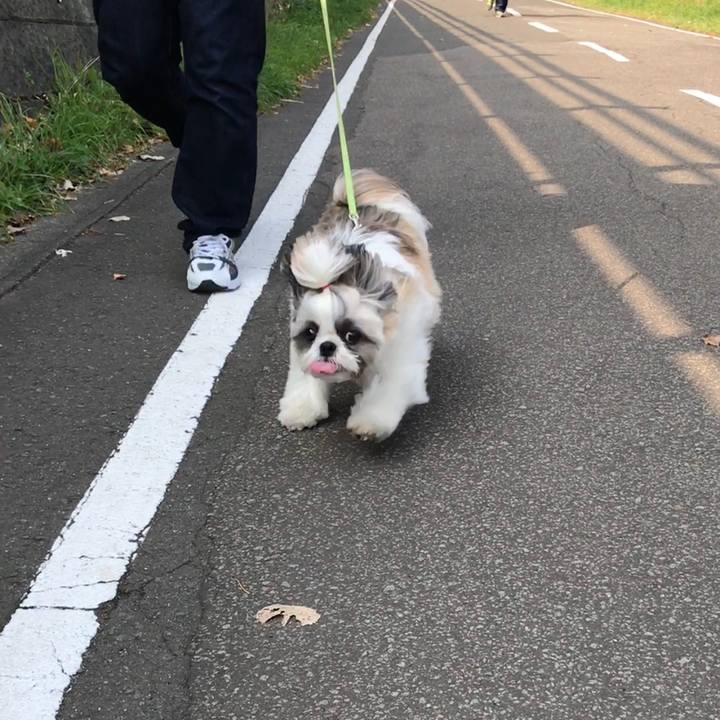 0b61714c 908e 461f ac74 2f5b6a679bb1