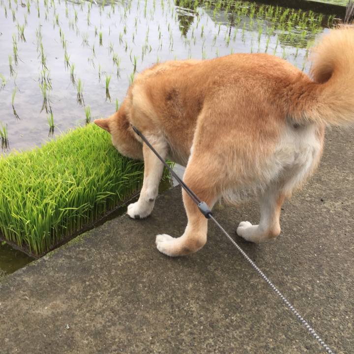 0b61ced3 ad77 49e9 872c 1e9304d400b7