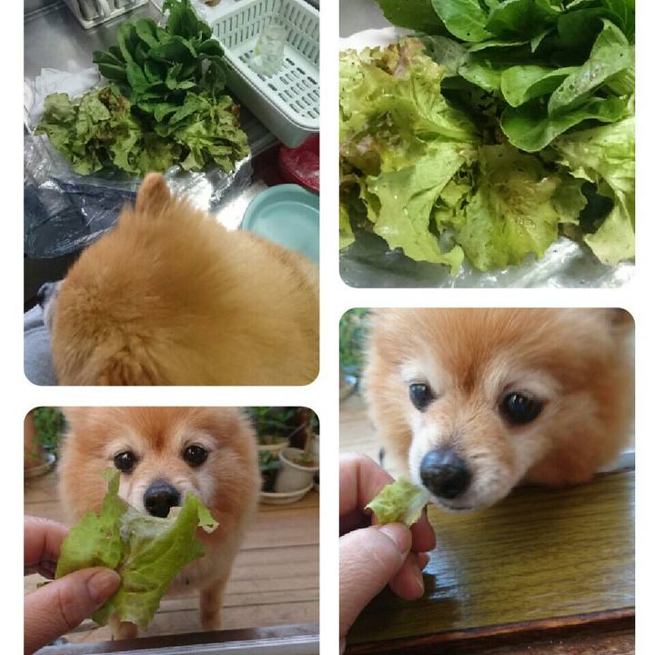 0b61e084 d95b 47ad 943d 772fccd57791