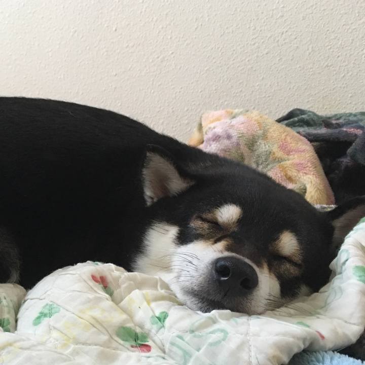 0b62602a fe5b 439c aa34 06726fbf383e