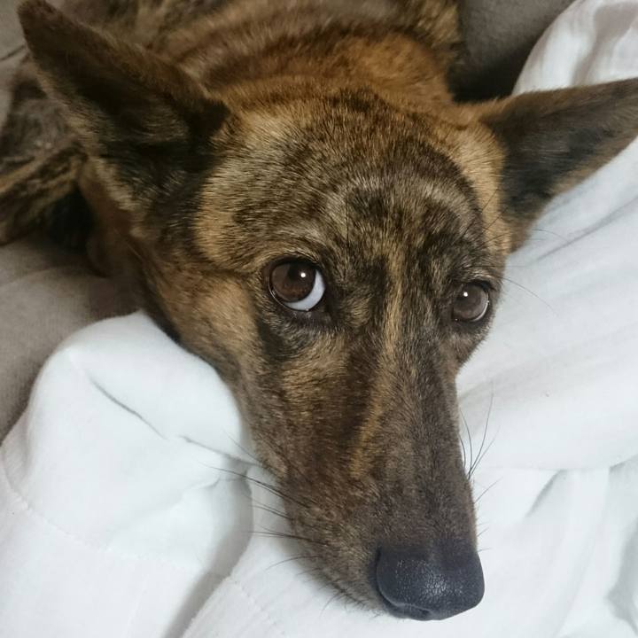 0b63a5e6 3060 46d8 b6f0 94c3d5913a2c