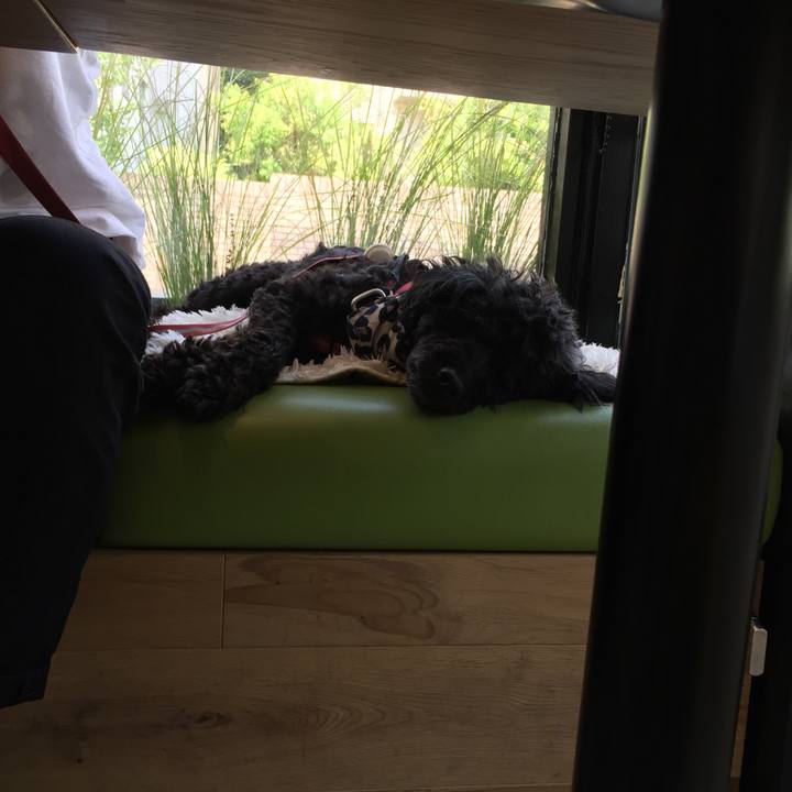 0b6430f6 78f7 48a8 a62e 8606e95e0edc