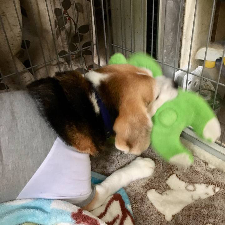 0b6491ec fd8c 4efc a400 41bfec87380a