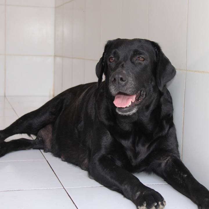 0b64abfb 4b21 4b75 a6f2 1180788b7703