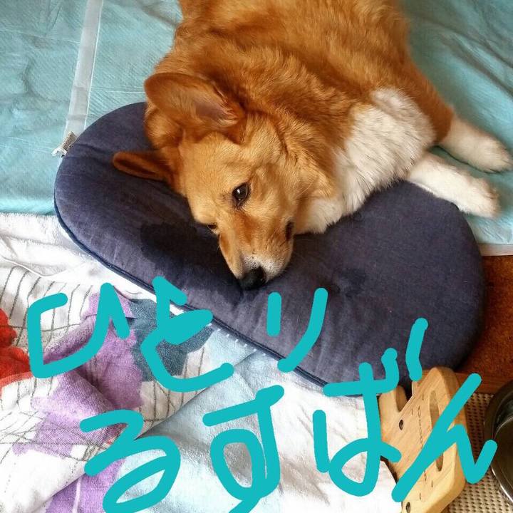 0b64b6e3 3274 407c b24d 834aa86d2cec