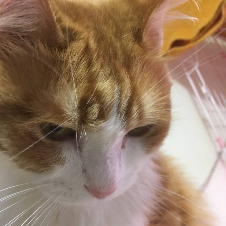 0b655714 9138 4097 a18e 9d621dd23516