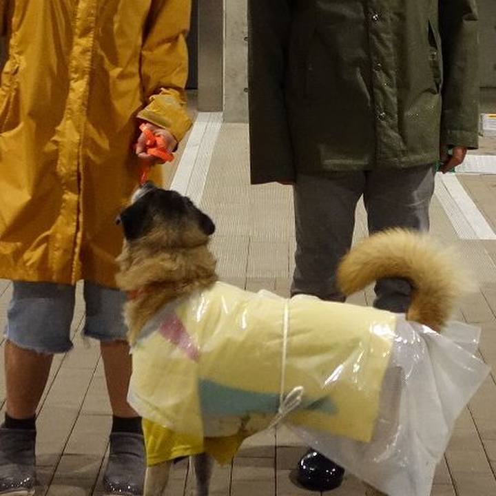 0b655939 ec0a 4c12 8e3e 427f5bcda778