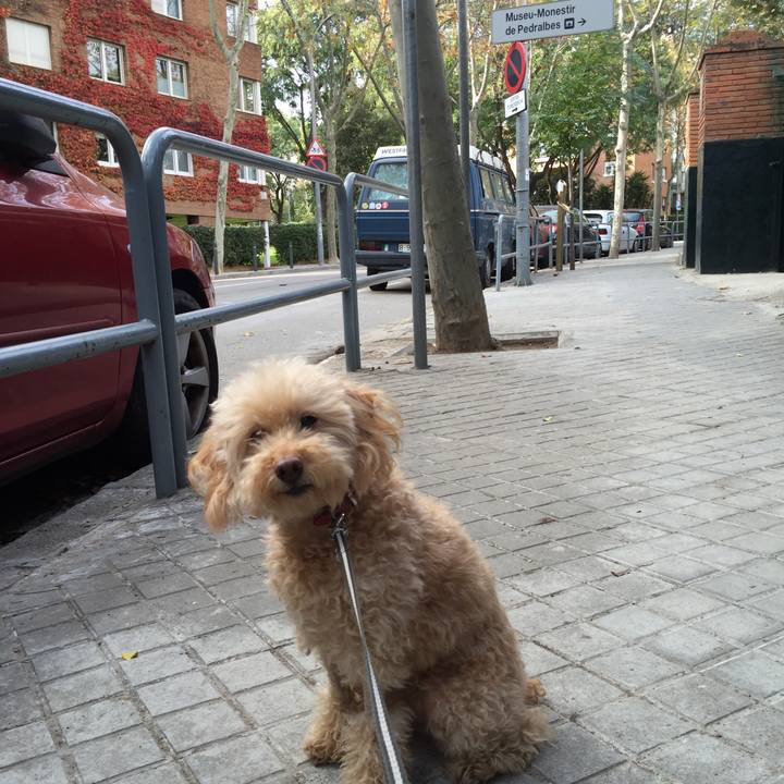 0b663ecc 5a7d 4694 b9c2 d728c3f01832