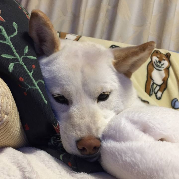 0b6666ac 1513 4ab7 b062 e4c031e6589a