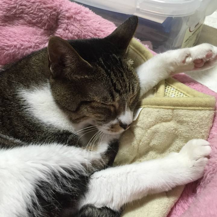 0b66f84d 6ff7 434e b92a 0de085a11b3b