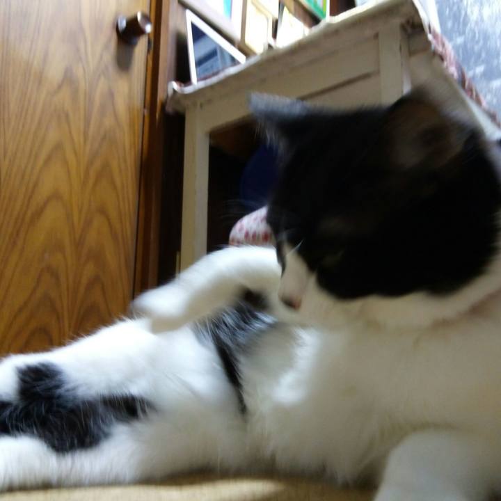 0b66fefb 0dd1 4188 9a4c 7165f9724f8b