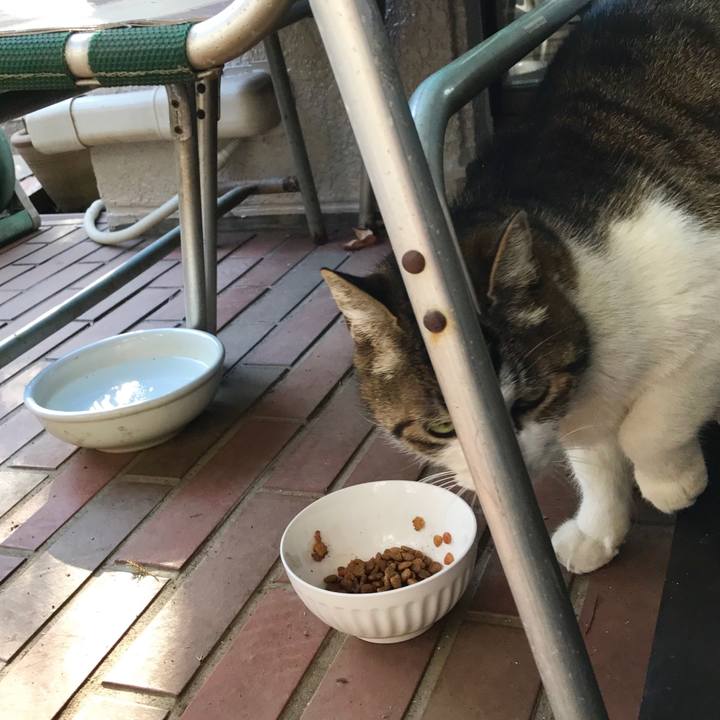 0b6724d1 4c7c 4256 a1ed ecba26035035