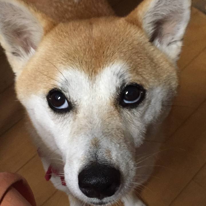 0b67caf9 1788 4ed7 91fe 5307b2a20ba0