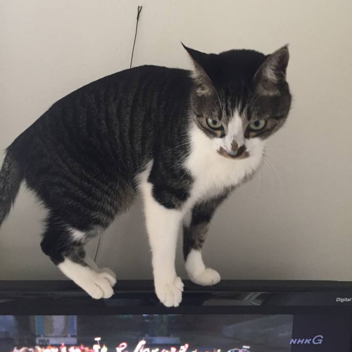 0b67f590 ea66 4043 b38f d990a9ee3e51