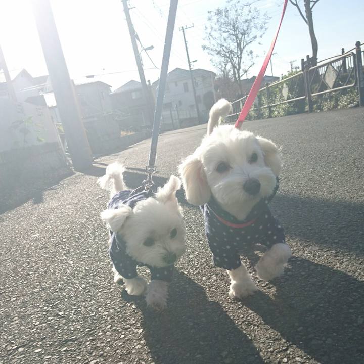 0b68a5aa dafb 4ddb a27d 197abb8dccfe