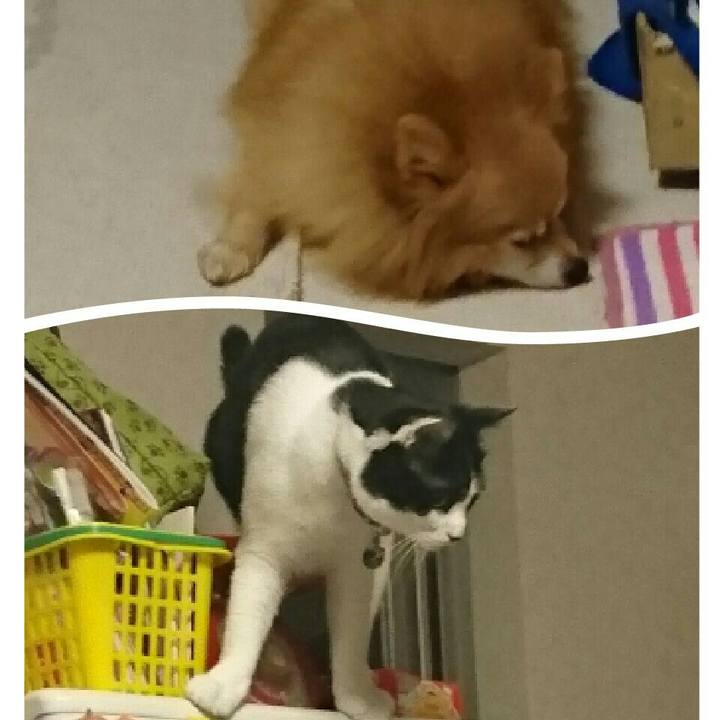 0b68e300 4422 4757 8d30 f1ccfb2fc3a9