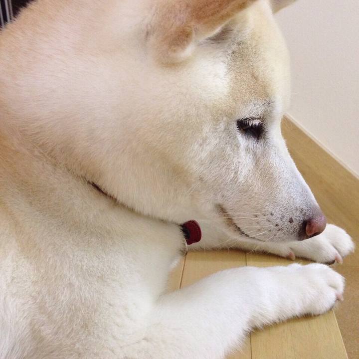 0b6a006d af80 4162 a7d2 1930af09b3ac