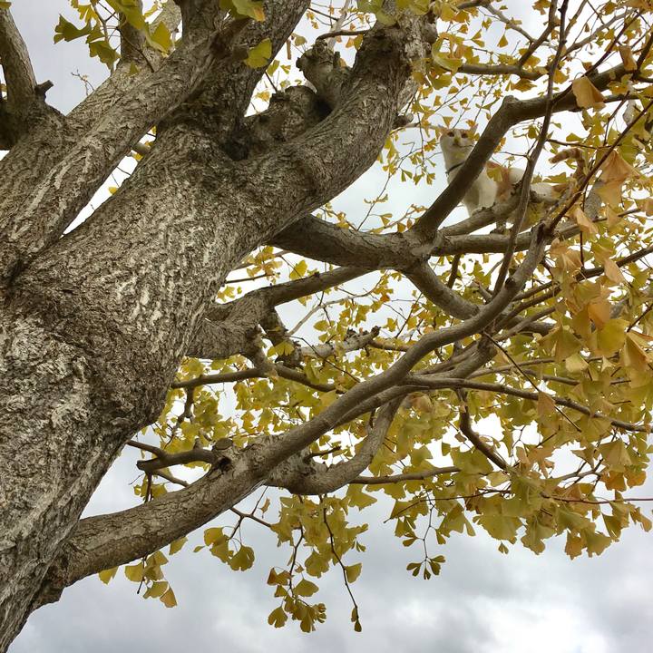 0b6a48b3 02e3 42ab 9af3 de7417ba36c0