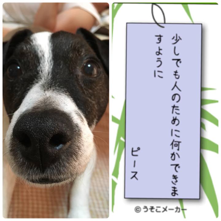 0b6a616c bd15 4d54 990c 429b5e56a009