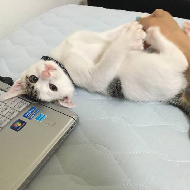 0b6a8be5 d9a2 45e5 a530 103815860af4